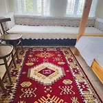 Traditional House Shapllo Daire