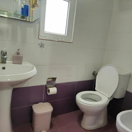 Appartamento Traditional House Shapllo