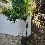 Traditional House Shapllo *
