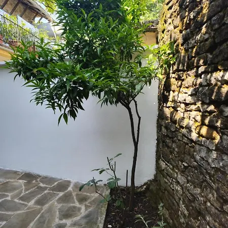 Traditional House & Shapllo *