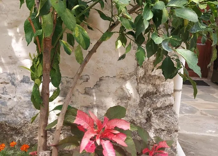 Traditional House & Shapllo 公寓 Gjirokastër