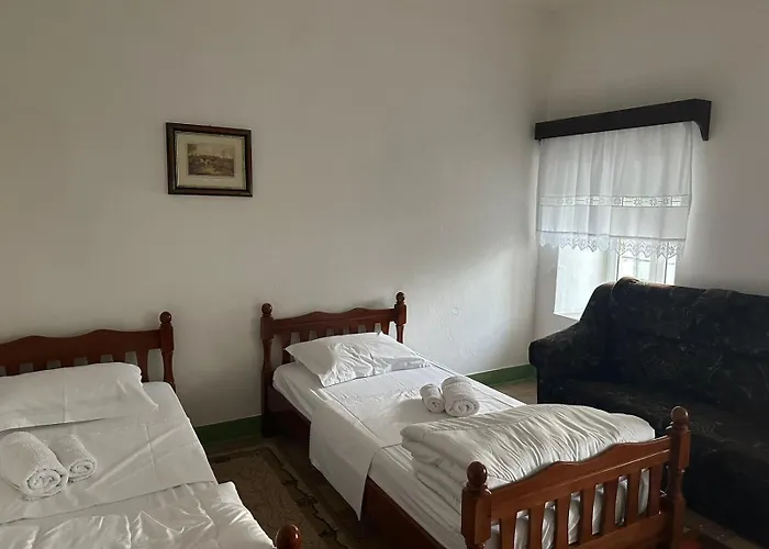 公寓 Traditional House & Shapllo Gjirokastër