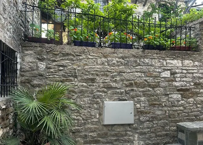 Traditional House & Shapllo 公寓 *