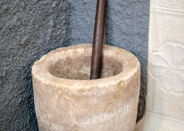 公寓 Traditional House & Shapllo *